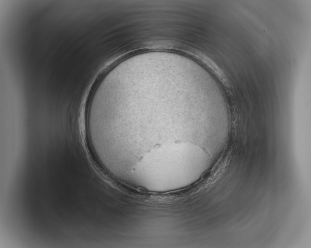 X0000102270840200808081439