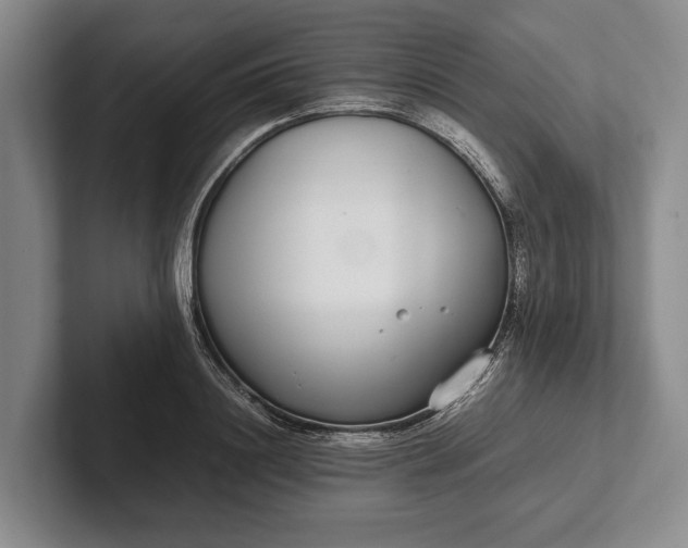 X0000102270844200808081439