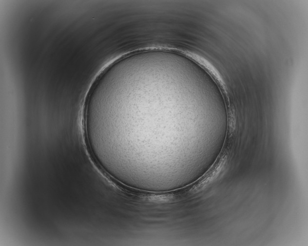 X0000102270847200808081439