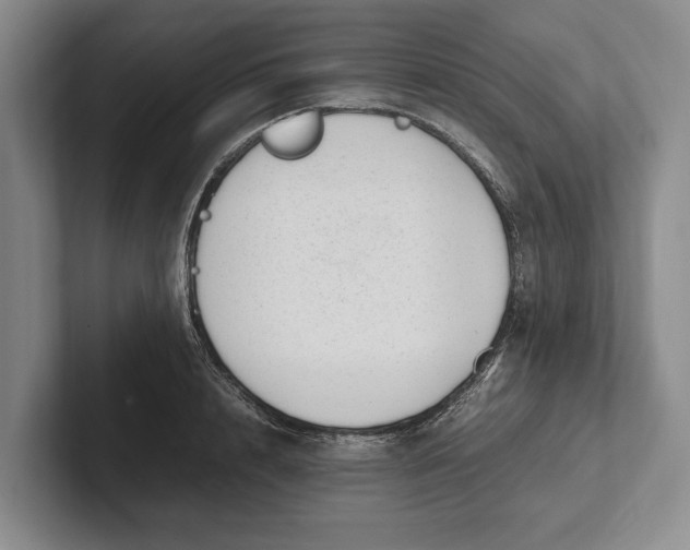 X0000102270848200808081439