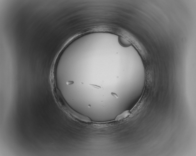 X0000102270852200808081439