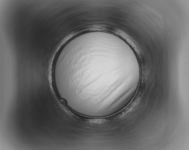 X0000102270853200808081439