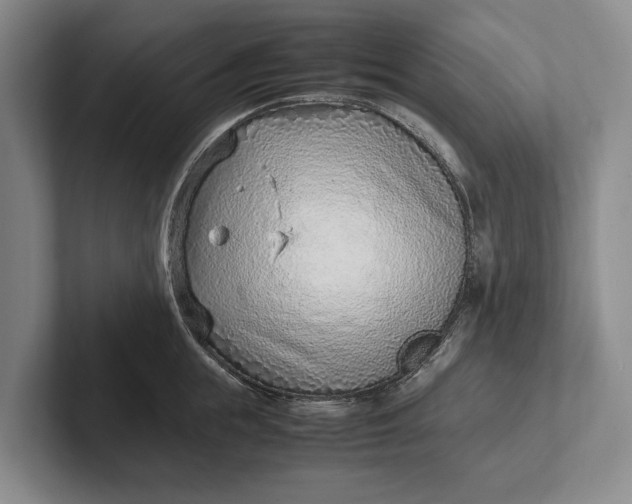 X0000102270855200808081439