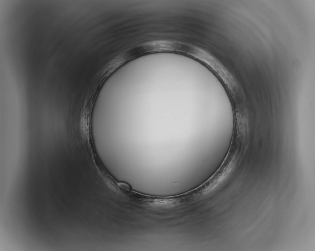 X0000102270857200808081439