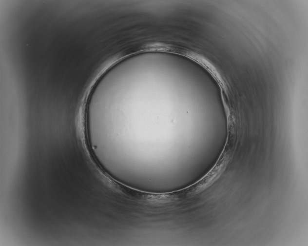 X0000102270859200808081439