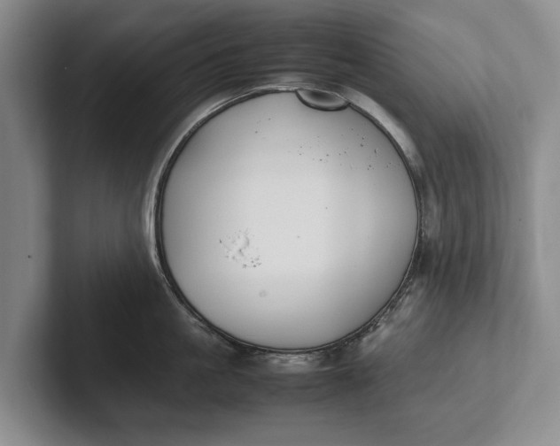 X0000102270861200808081439