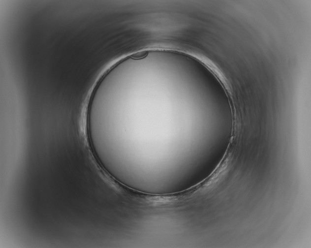 X0000102270862200808081439