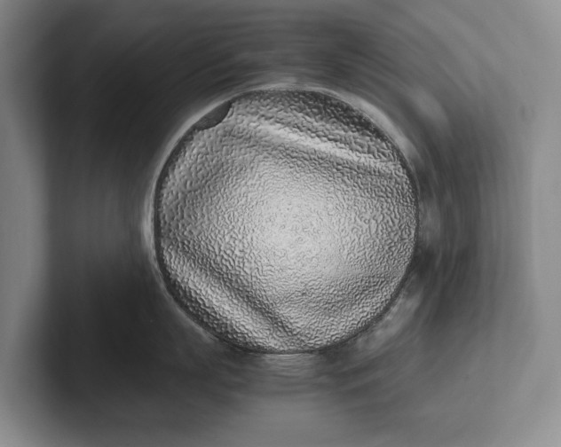 X0000102270863200808081439