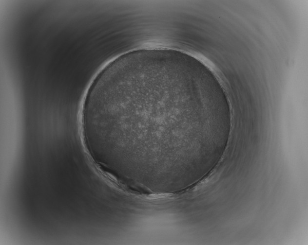 X0000102270864200808081439