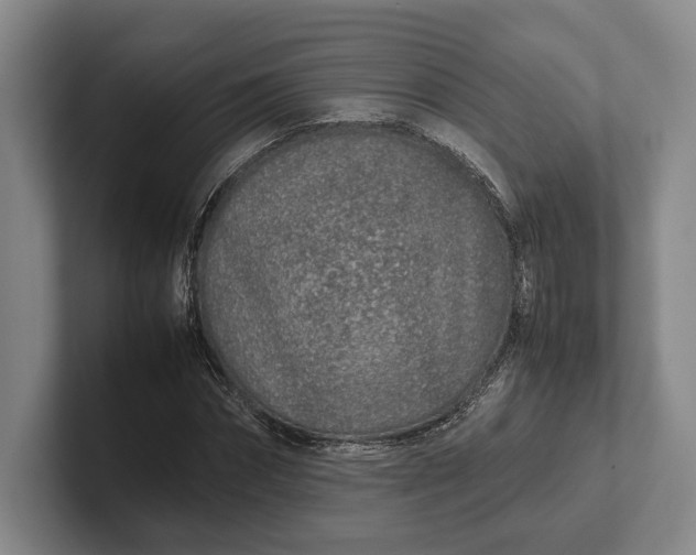 X0000102270874200808081438