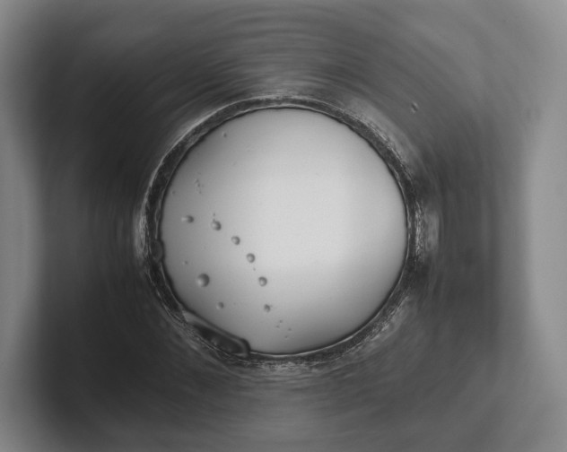 X0000102270876200808081438