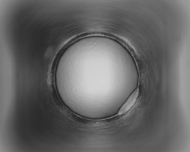 X0000102270879200808081438