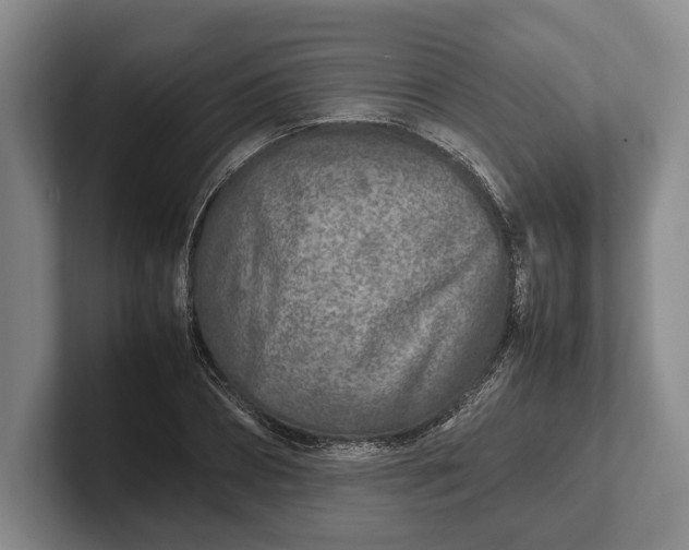 X0000102270882200808081438