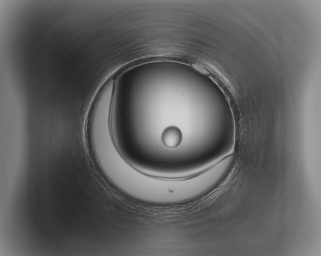 X0000102270883200808081438