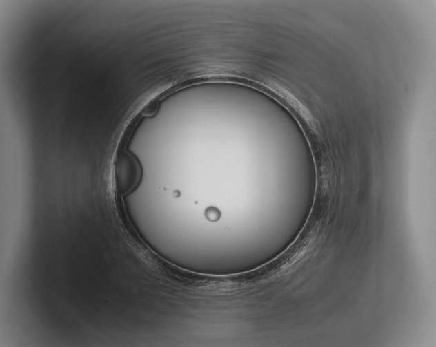 X0000102270885200808081438