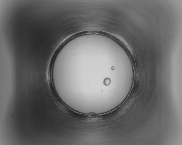 X0000102270887200808081438