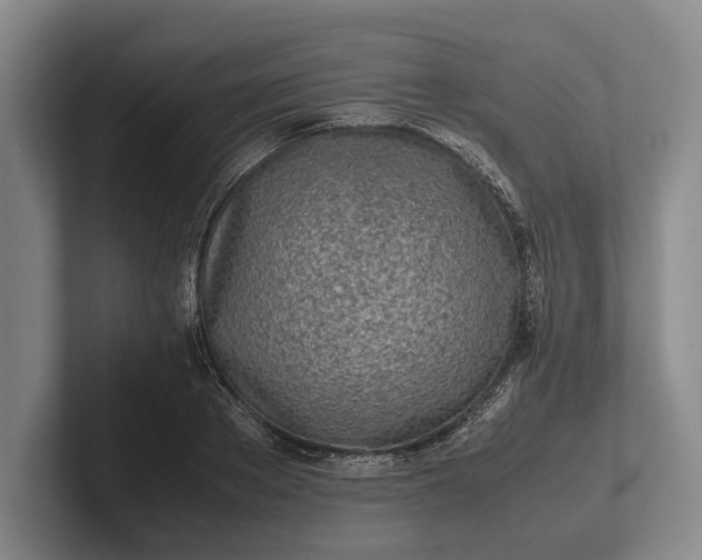 X0000102270889200808081438