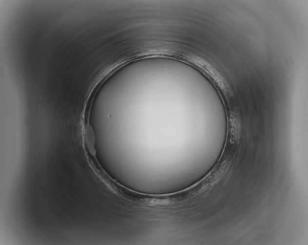 X0000102270890200808081438