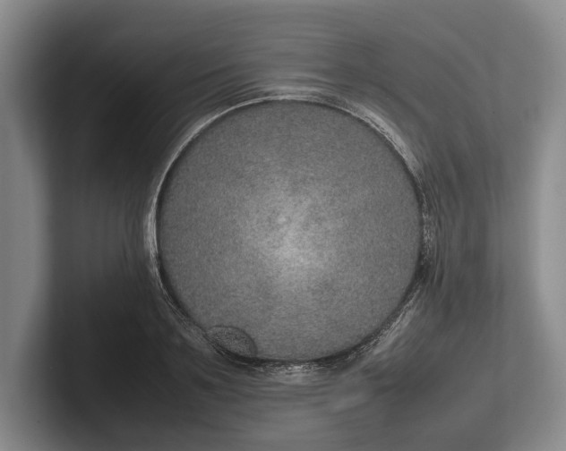 X0000102270891200808081438