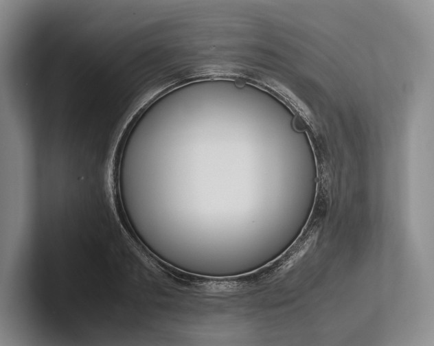 X0000102270893200808081438