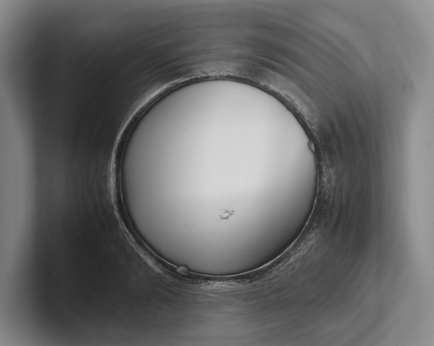 X0000102270894200808081438