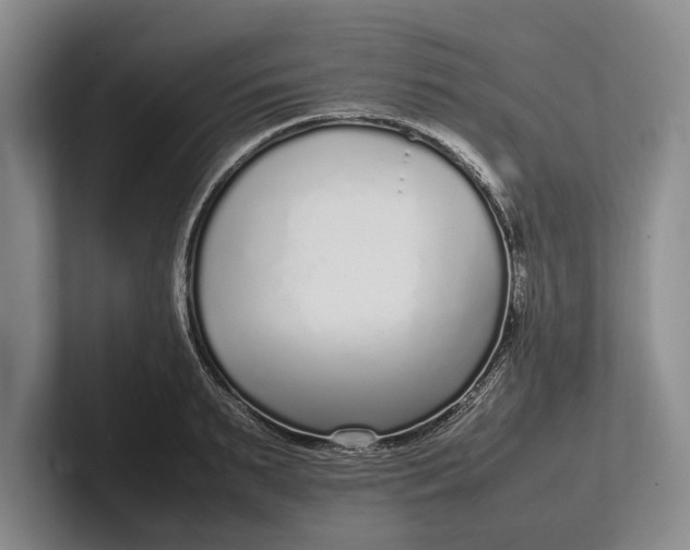 X0000102270895200808081438