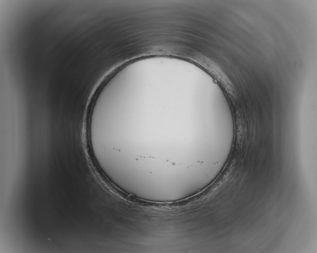 X0000102270896200808081438