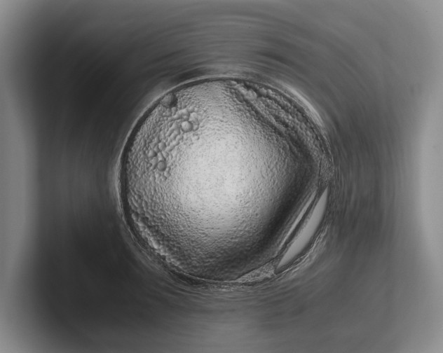 X0000102270899200808081438