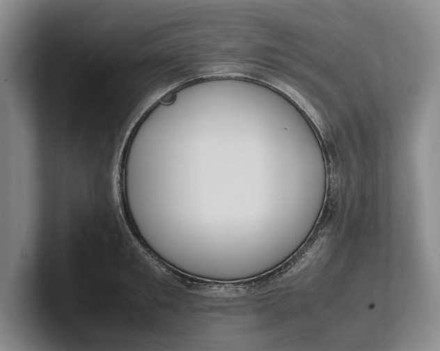 X0000102270901200808081438