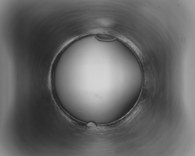 X0000102270902200808081438