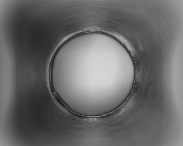 X0000102270903200808081438