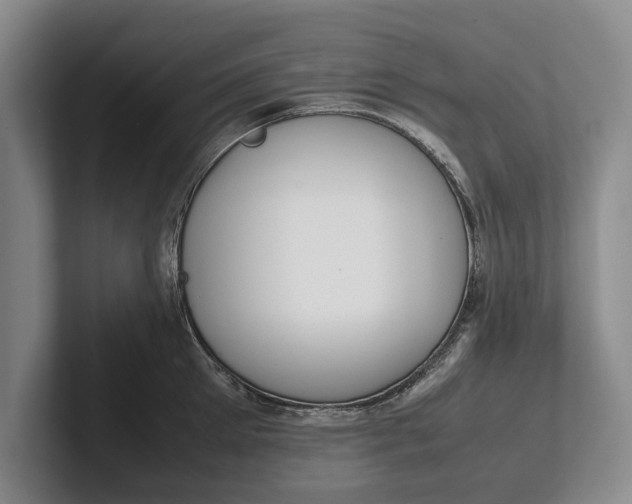 X0000102270905200808081438