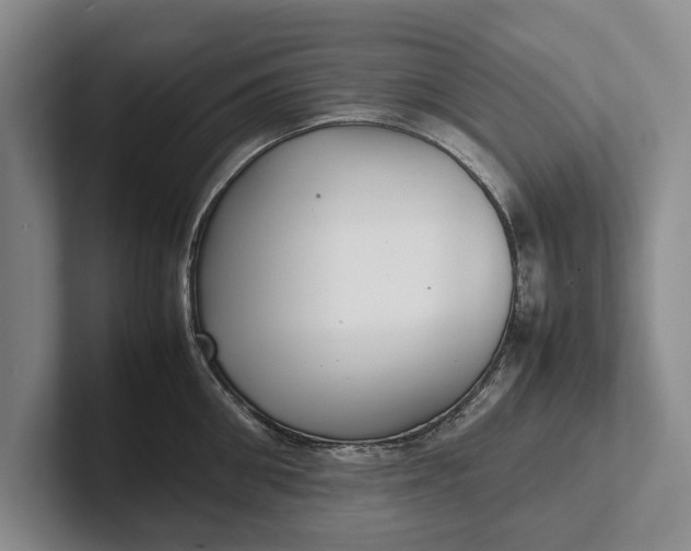 X0000102270906200808081438