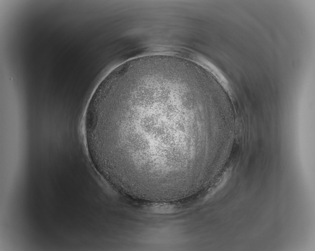 X0000102270907200808081438