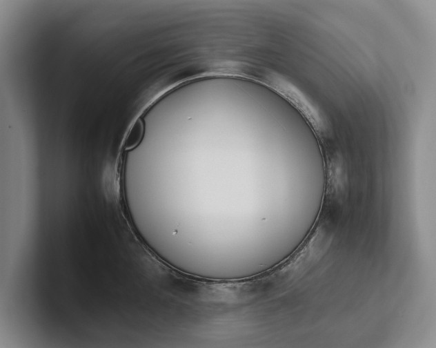 X0000102270908200808081438