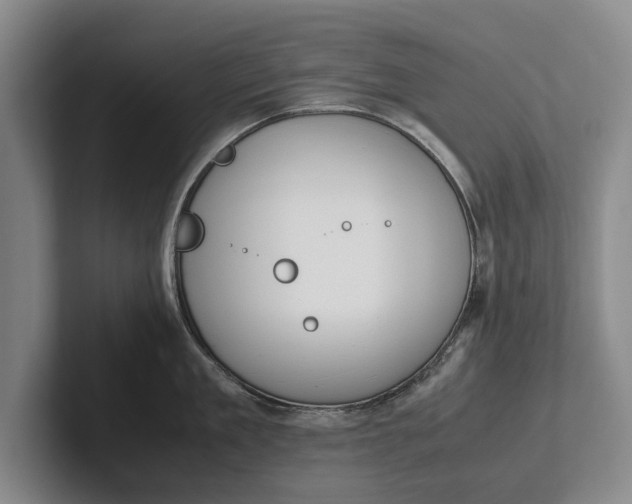 X0000102270909200808081438