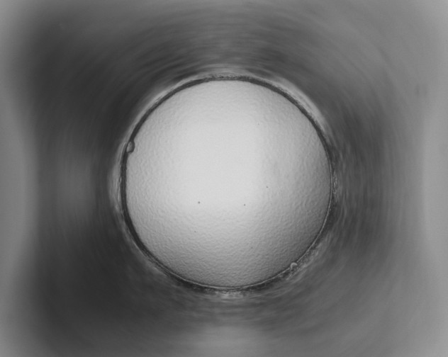 X0000102270911200808081438