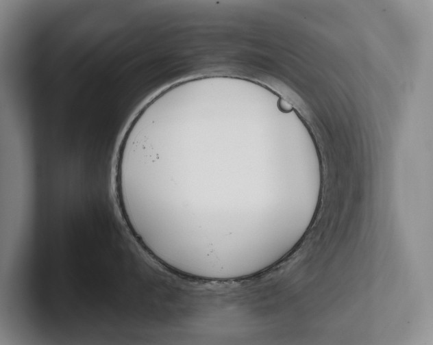 X0000102270912200808081438