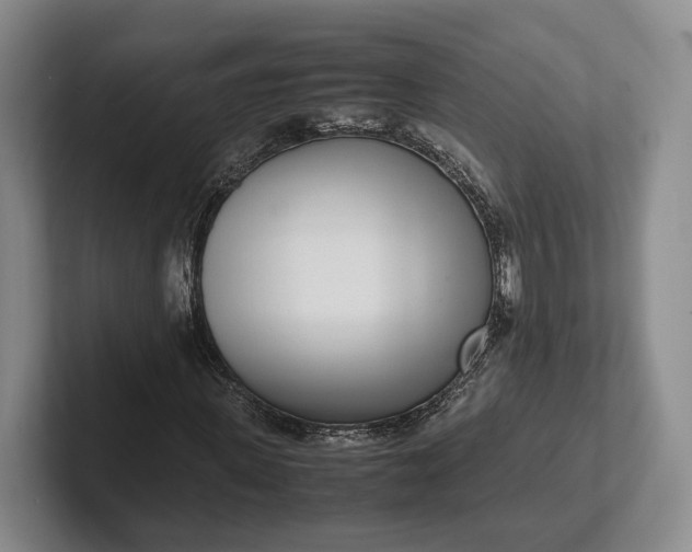 X0000102270915200808081437