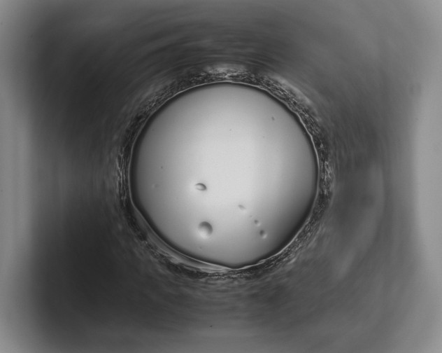 X0000102270917200808081437