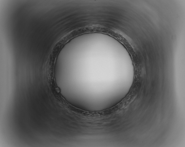 X0000102270919200808081437