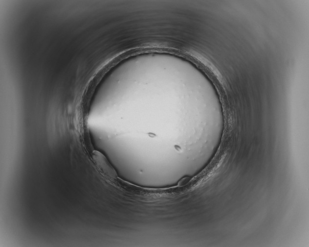 X0000102270925200808081437