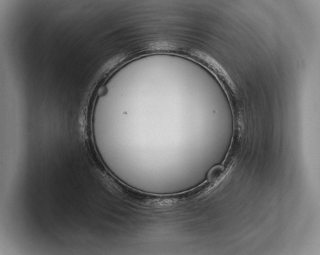 X0000102270930200808081438