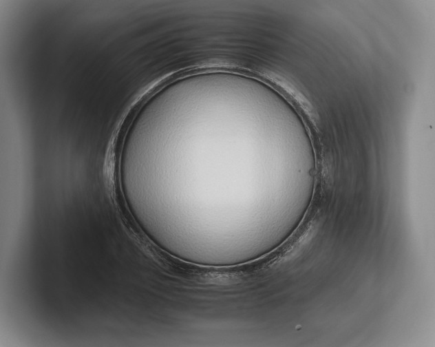 X0000102270933200808081438