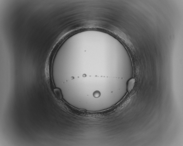 X0000102270934200808081438