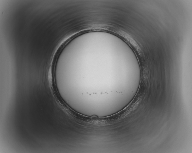 X0000102270936200808081438