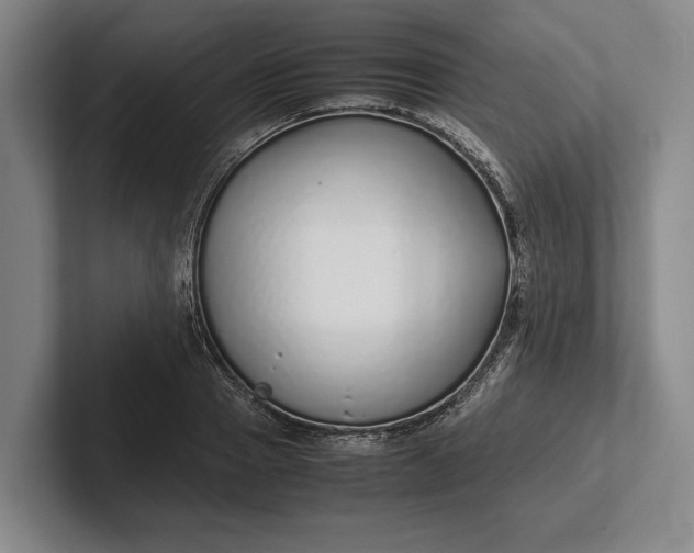 X0000102270937200808081438