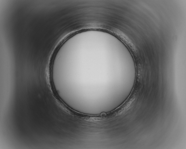 X0000102270942200808081438