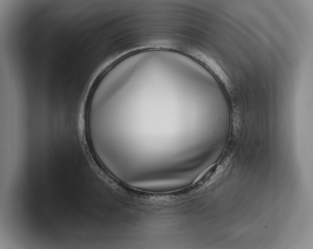 X0000102270944200808081438