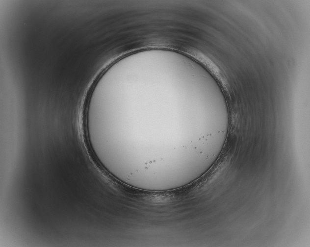 X0000102270947200808081438